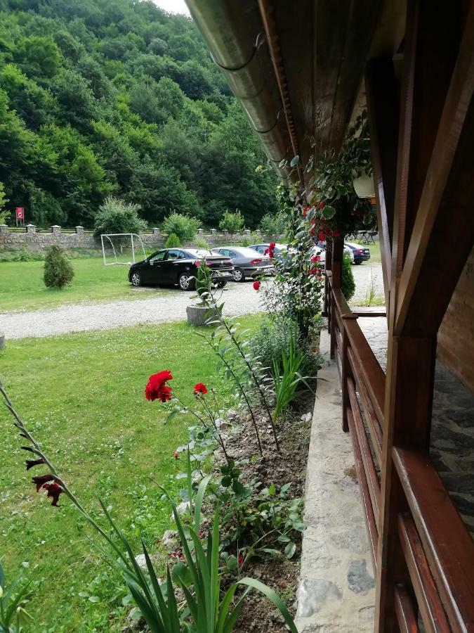 Pensiunea La Busu -Bigar Bozovici Екстер'єр фото